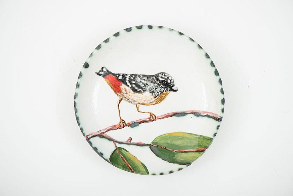 Pardalote plate