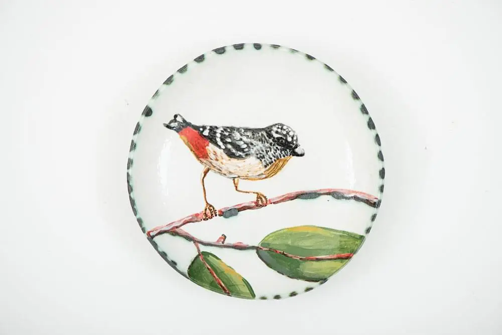 Pardalote plate