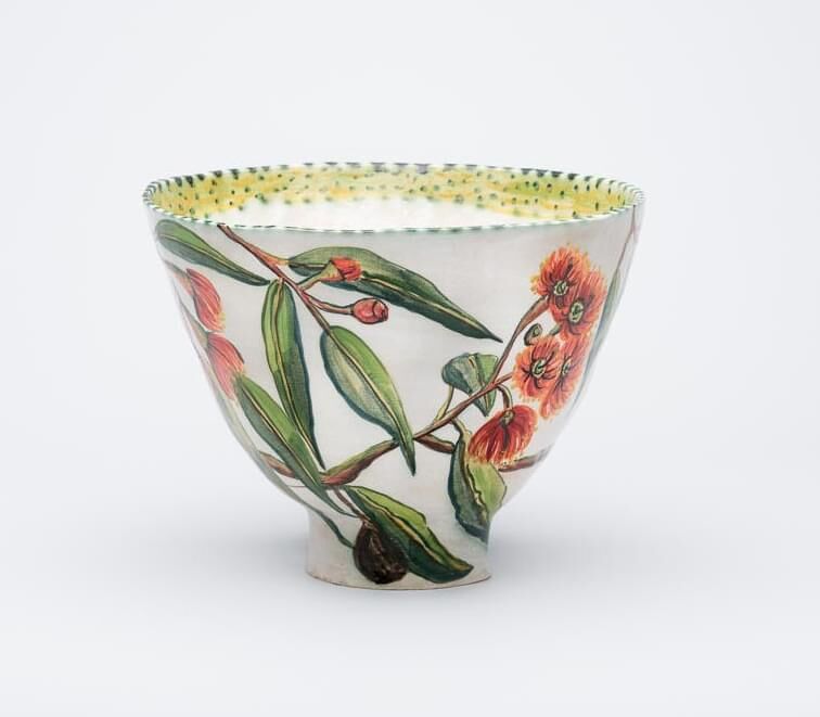 Ficifolia with willie wagtail bowl