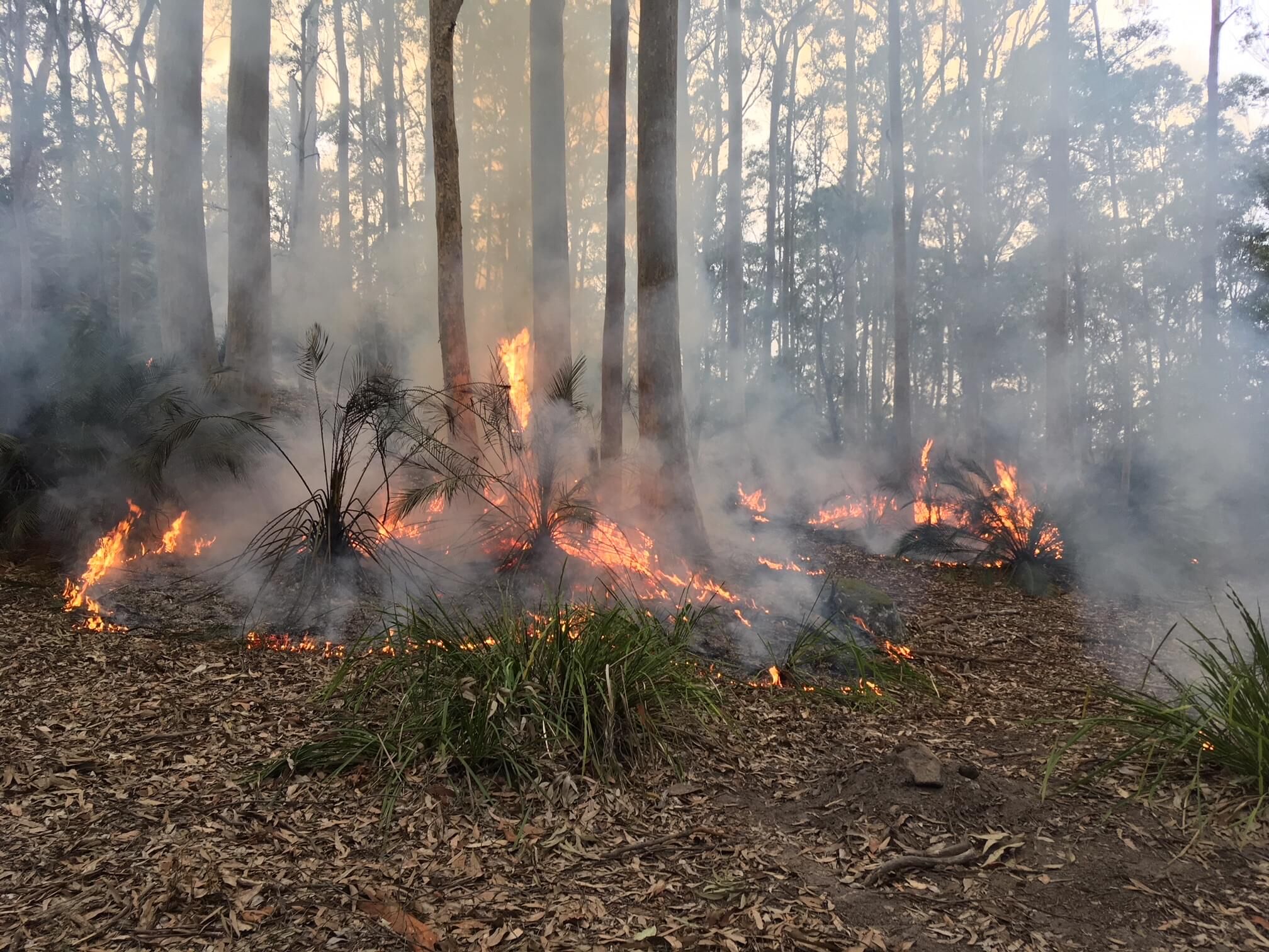 Bundanon trust, cool burn fire