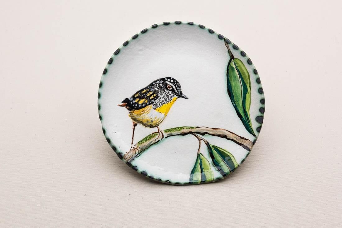 04042025_Pardalote Plate01