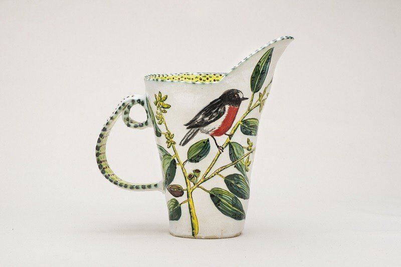 Red-breasted Robin and Gum pitcher